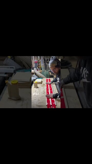 Mega cat structure #shorts #shortvideo