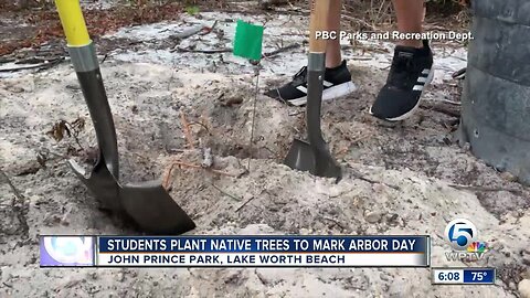 Students plant native trees in Lake Worth Beach to mark Arbor Day