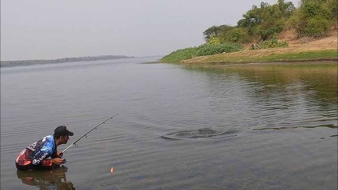 "Amazing Baam Fishing at Barwa Ghat, Jharkhand"