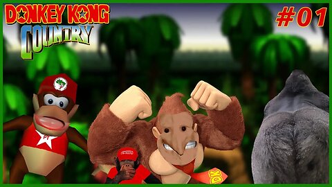 MACACO BURRO! 🐒 - Donkey Kong Country #1