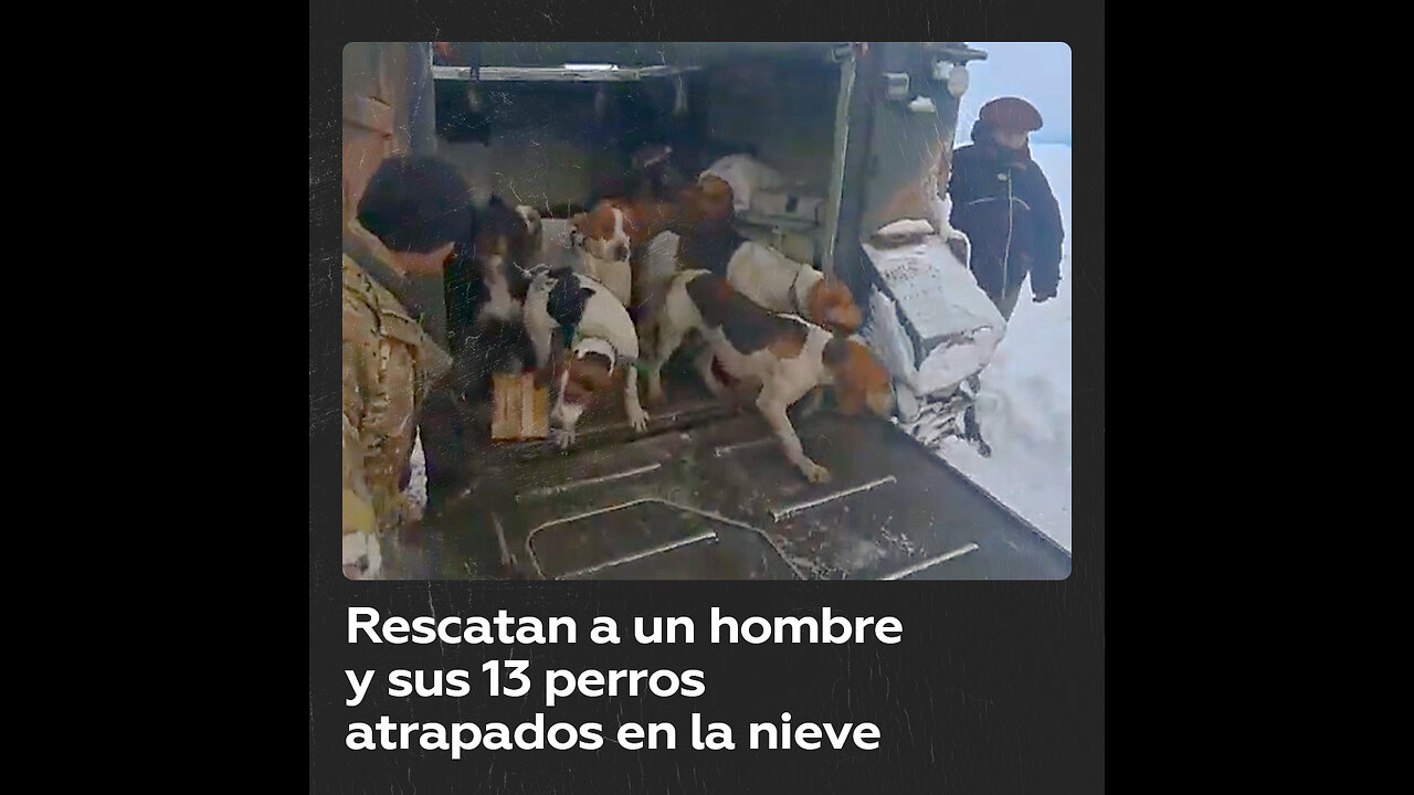 Conmovedor rescate de un peón y sus 13 perros tras un mes atrapados en la nieve