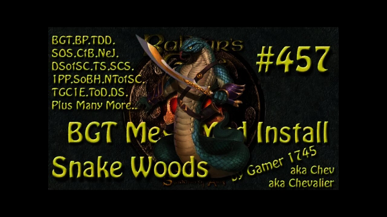 Let's Play Baldur's Gate Trilogy Mega Mod Part 457 Snake Woods