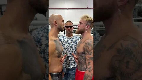 Andrew Tate And Jake Paul Scamfight