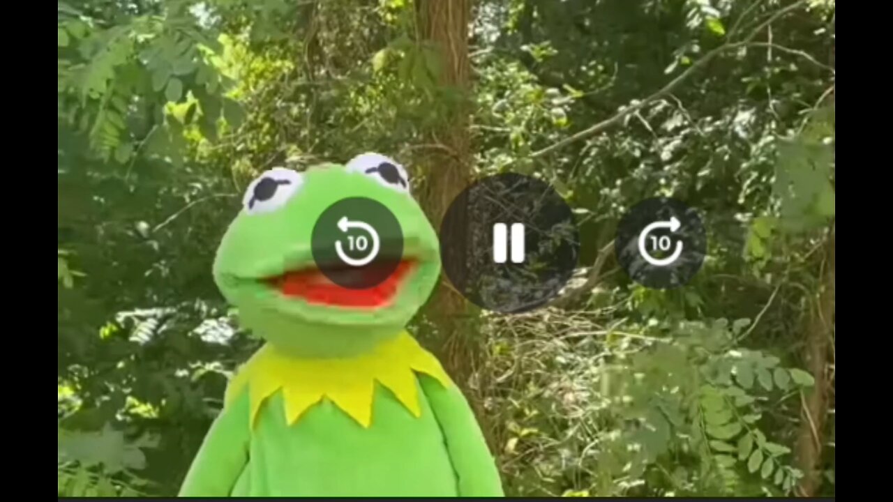 Kermit's glizzies