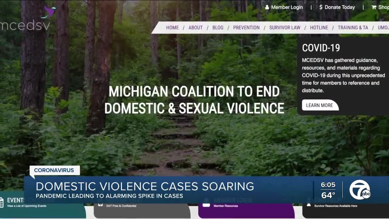 Pandemic leading to alarming spike in domestic violence cases