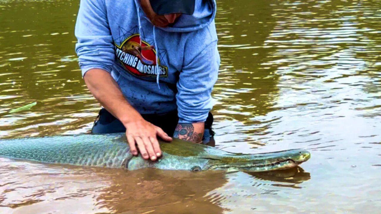 Alligator Gar Conservation And Education 🦖