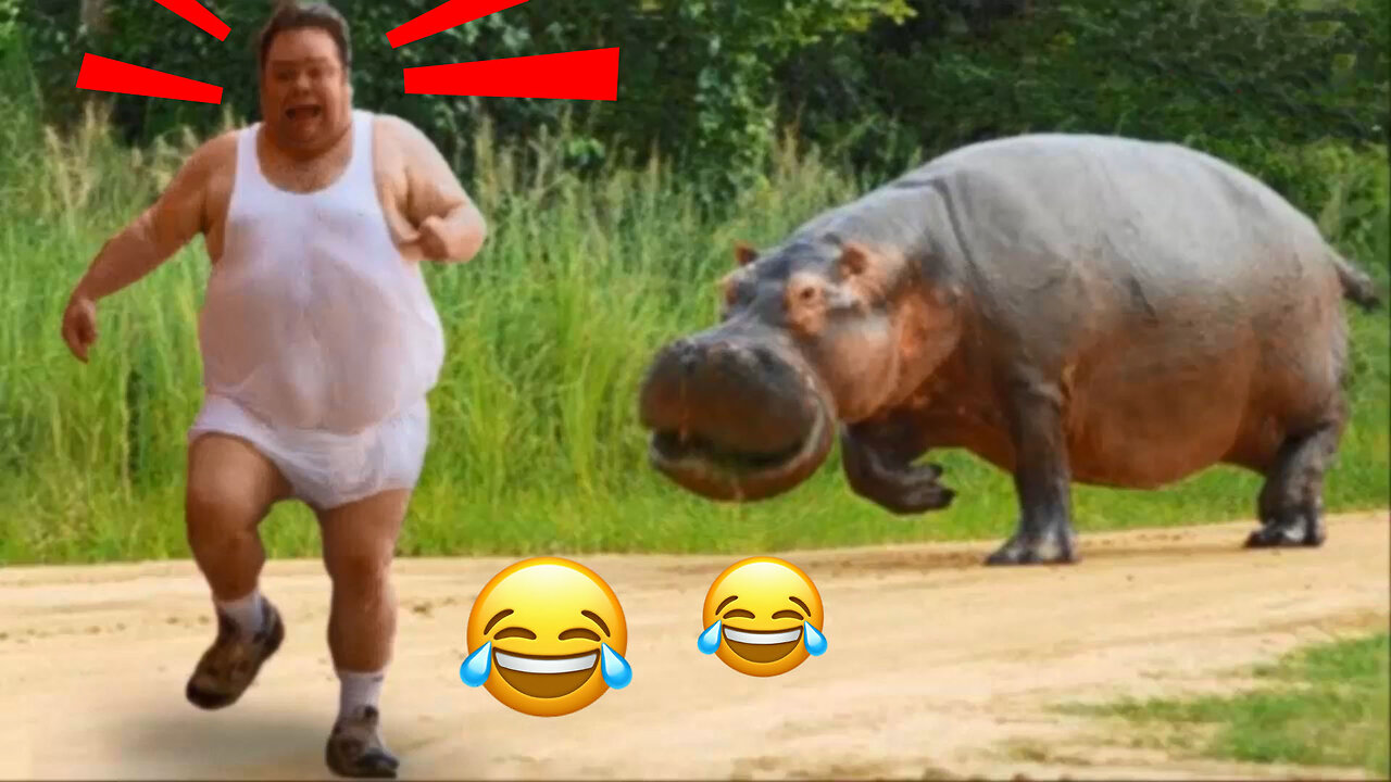 Funny Animals Chasing and Scaring People