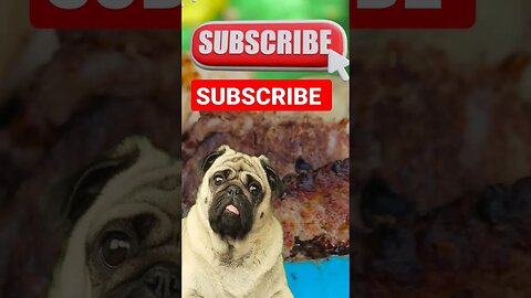 Hooman you eat it! #shorts