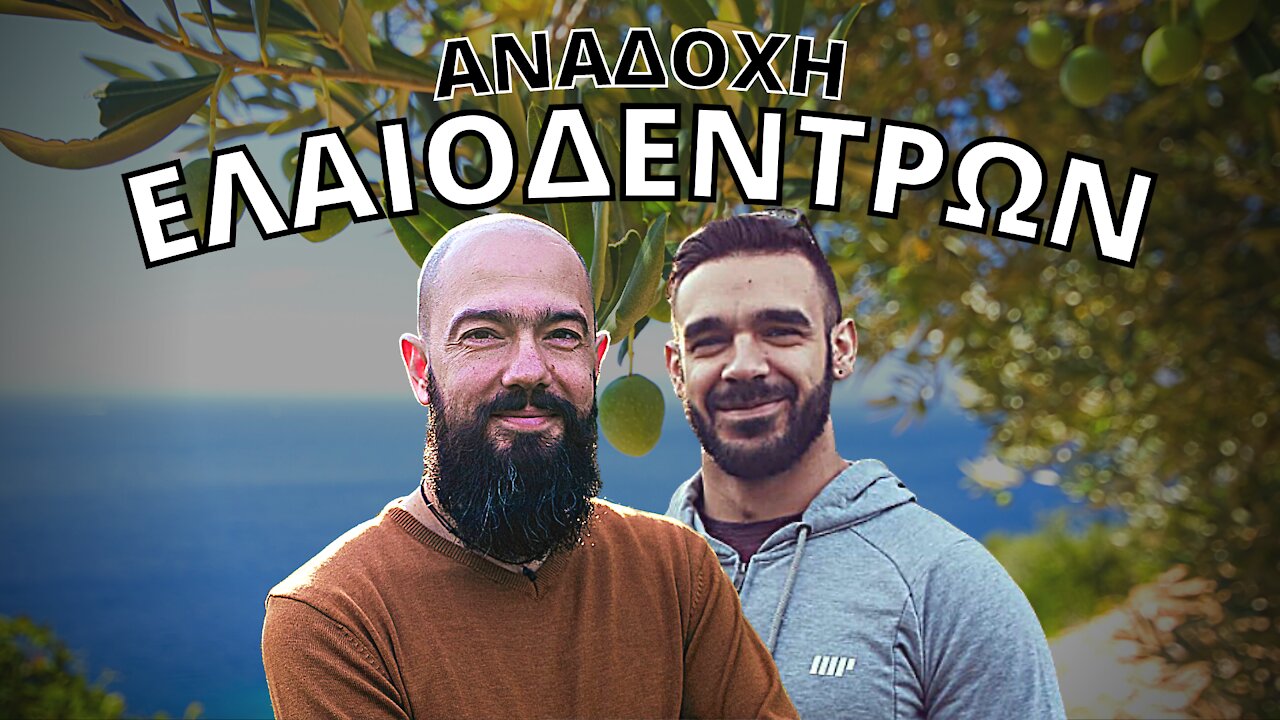 Πώς να παράγεις το ΔΙΚΟ σου Ελαιόλαδο εξ' αποστάσεως [Υιοθεσία Ελαιοδέντρων]