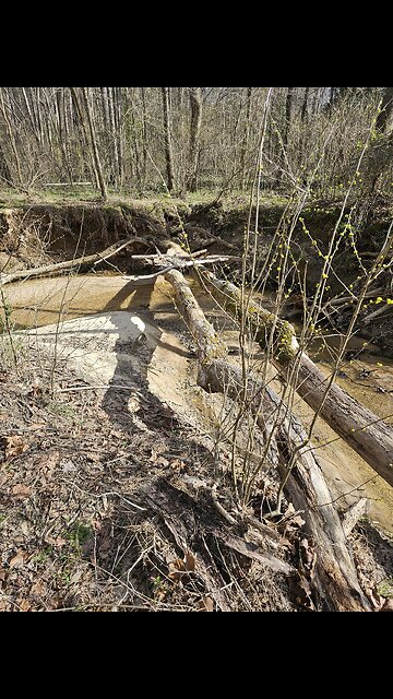 🤠 The Reminiscent Cowboy 🤠