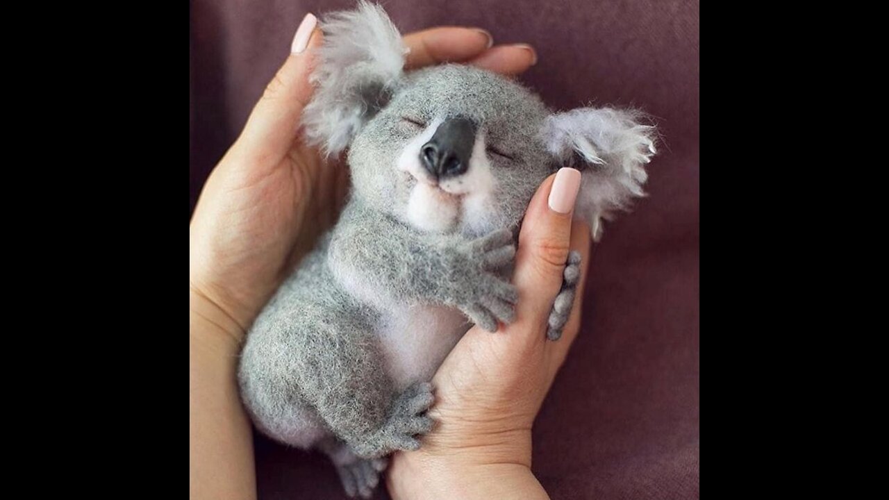 Compilation of Cute and Funny Animals ๐คฉ๐