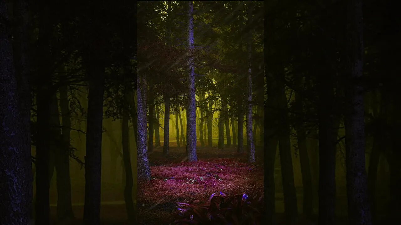 Rainforest & Thunder sounds #rainforest #thunderandrainsounds #thundersound #thundersoundsforsleep