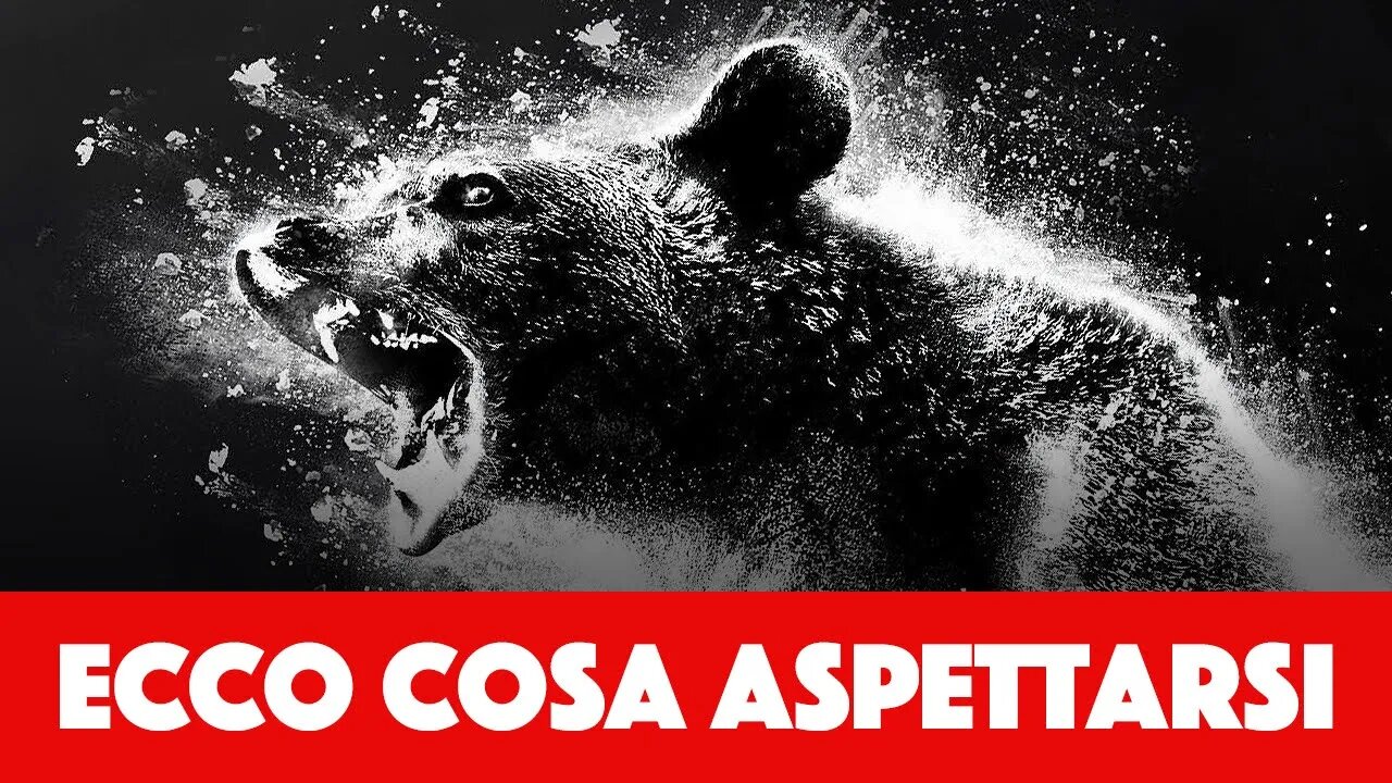 Cocainorso - Recensione (senza spoiler) - Dal 20 aprile #soloalcinema