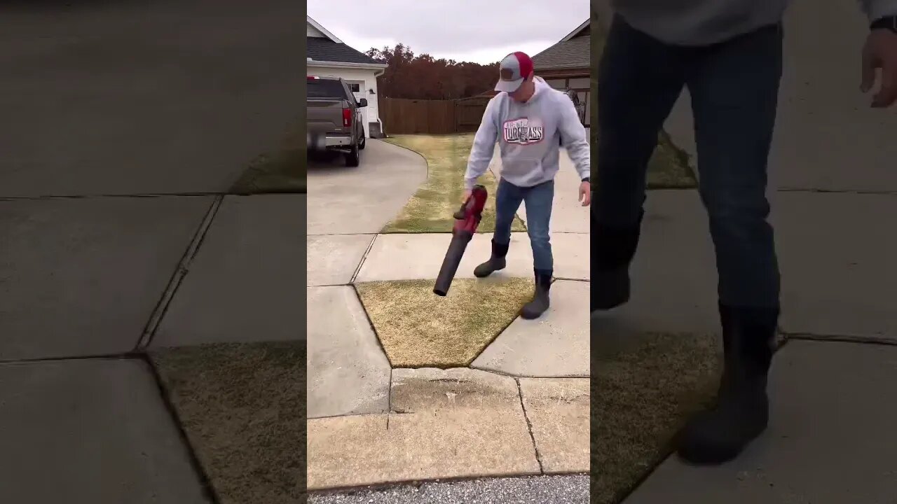Painters Taping off the Lawn