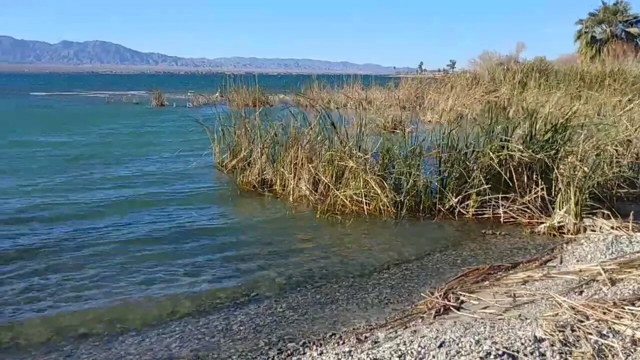 Shore of Lake Havasu