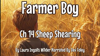 CH 14 Sheep Shearing