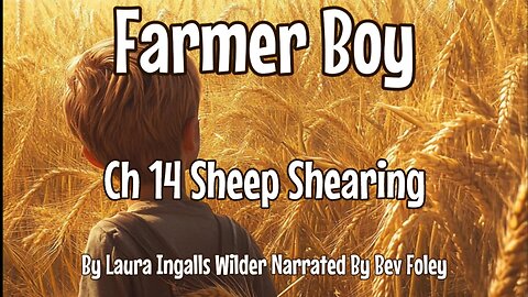 CH 14 Sheep Shearing