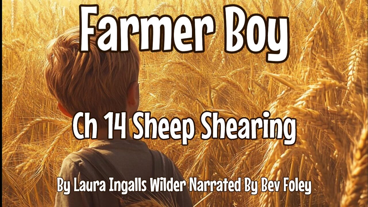 CH 14 Sheep Shearing