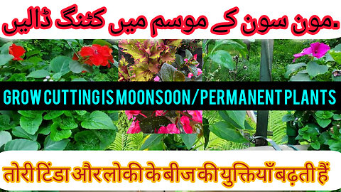 Home garden design ideas garden design ideas
