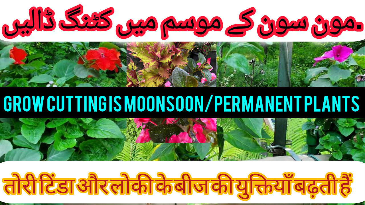 Home garden design ideas garden design ideas