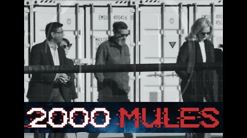 "2000 Mules"