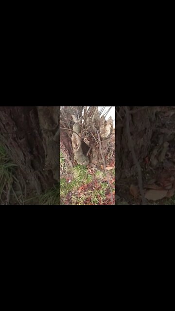 What's the Best Way to Preserve it?