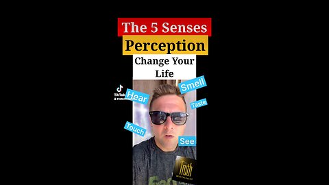 The 5 Senses and perception