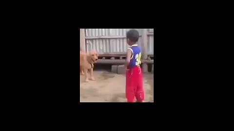 funny video