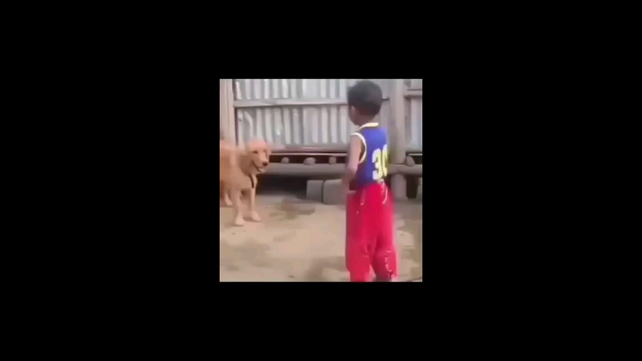 funny video