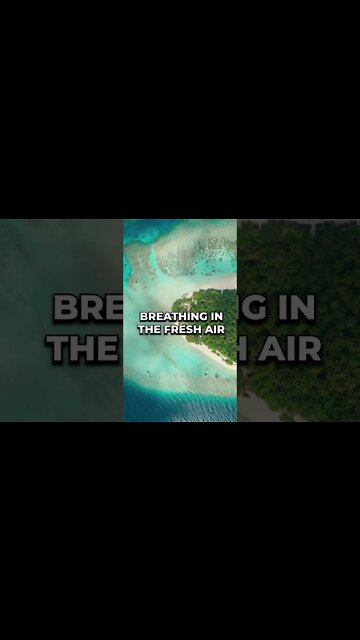 Let your body relax #meditation #sleep #shorts