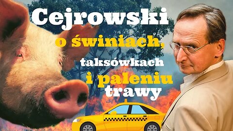 Cejrowski o świniach, taksówkach i paleniu trawy 2019/04/16 Radiowy Przegląd Prasy Odc. 994