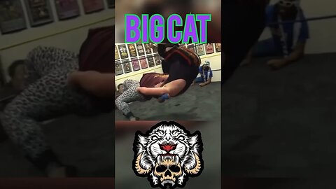 Some BIG CAT highlights! #clips #prowrestling #wrestling #highlights #shorts #highlights