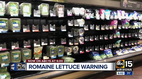 So you've thrown out your romaine lettuce. What next?