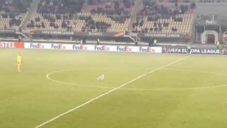 Cane invade il campo di una partita di calcio