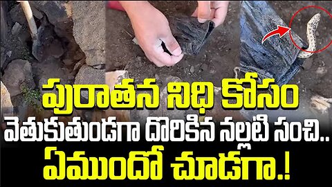 పురాతన నిధి కోసం వెతుకుతుండగా దొరికిన నల్లటి సంచి.. ఏముందో చూడగా.! #gold #snake #viral | FBTV NEWS