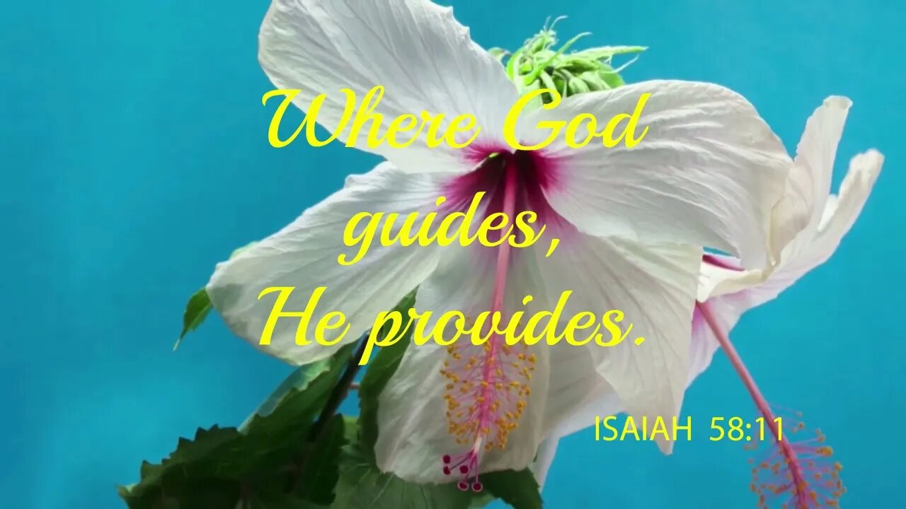 Daily Guided Prayer ISAIAH 58:11