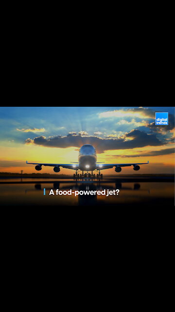 Can a jet be powered by food?