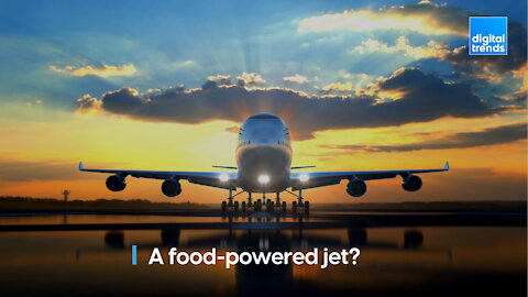 Can a jet be powered by food?