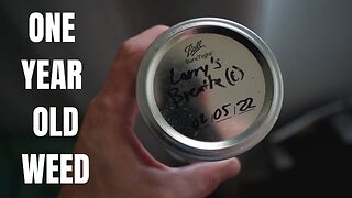 Does Weed Expire? | Smoking 1 Year Old Weed