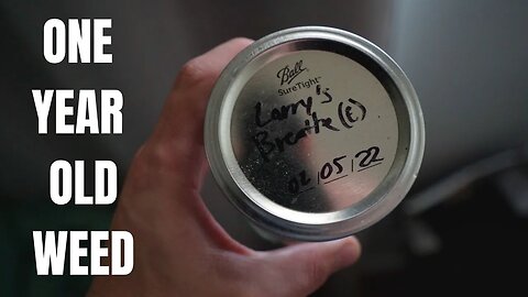 Does Weed Expire? | Smoking 1 Year Old Weed