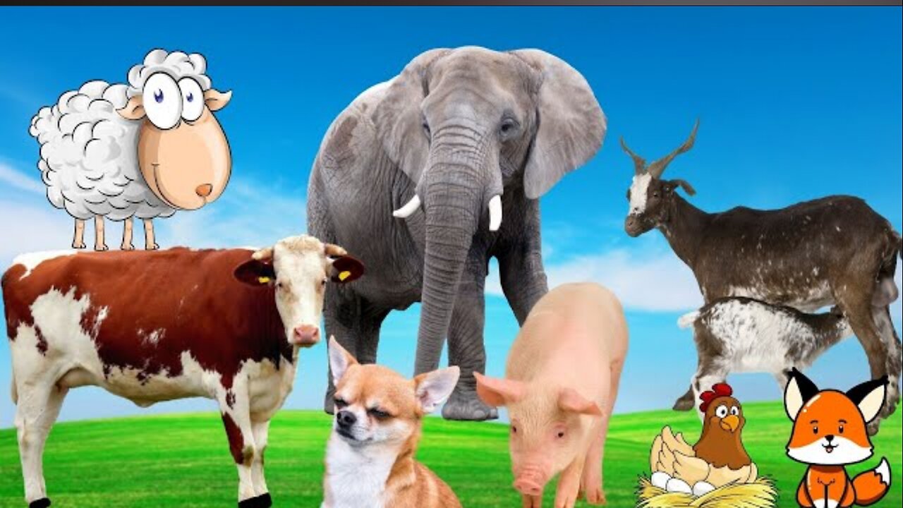 Cute little animals: dog, chicken, rabbit, cow, horse