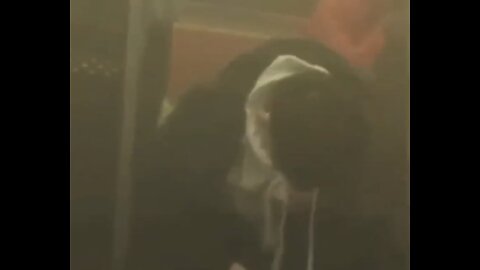 Footage From New York Terrorist Attack