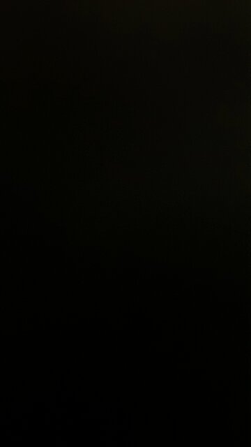 Historic Trump Rally