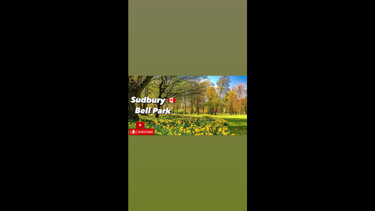 Bell park Canada Sudbury 🇨🇦 #seraphina517 #desigirl #canada