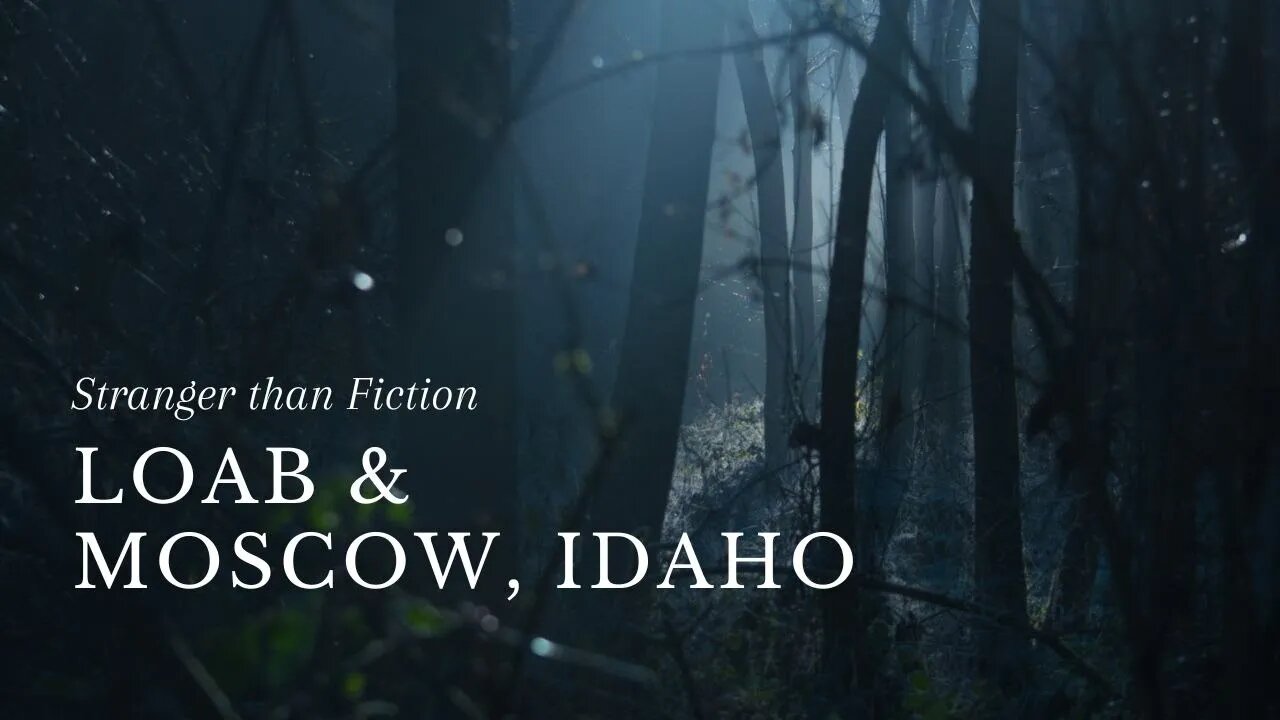 Stranger Than Fiction | Loab & Moscow, Idaho *sensitive topics*