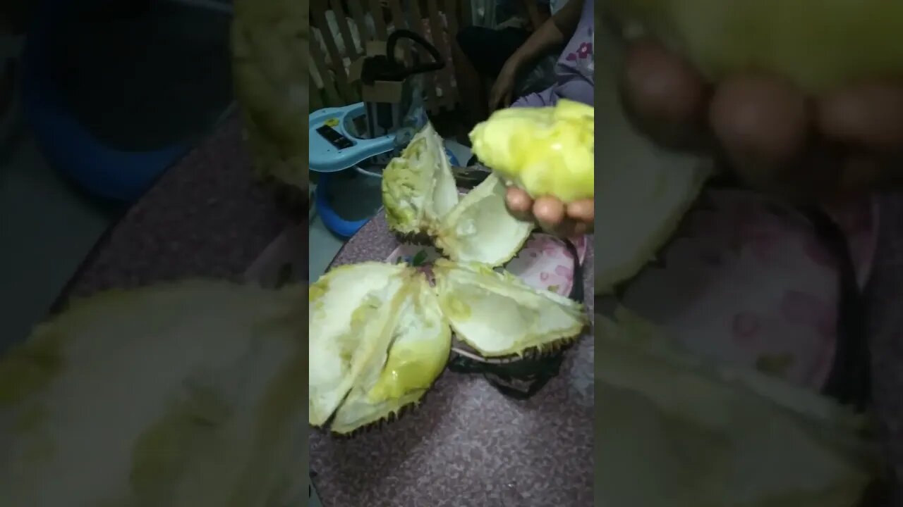 First time Italian try Durian in Philippines #durian #philippines #tasteit #filipinofood