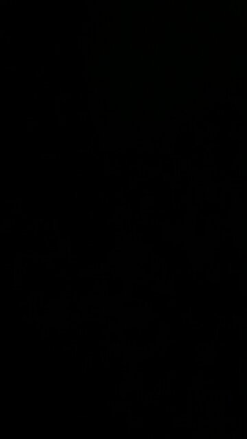 ￼ Fly in my coffee!