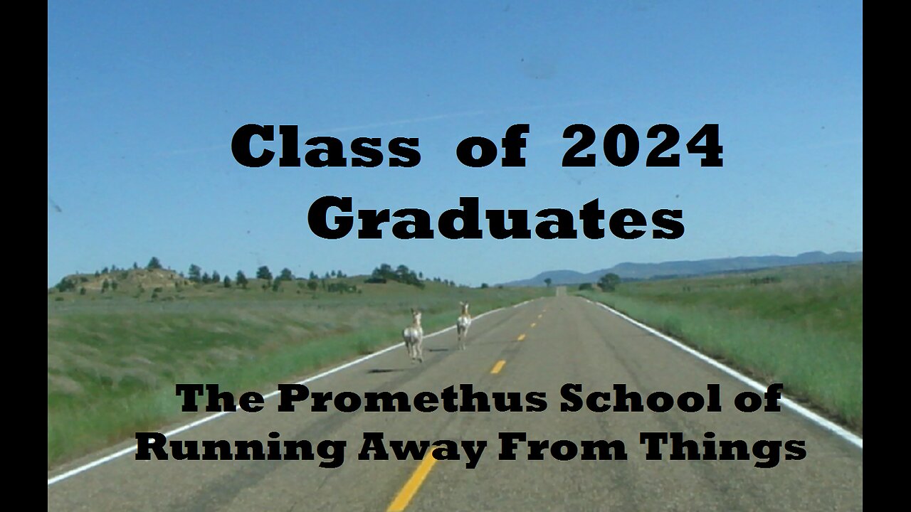 Pronghorn Antelope Graduates of The Prometheus School of Running Away From Things