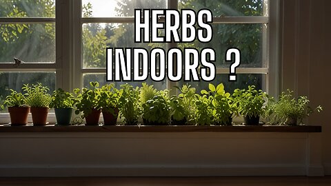 Grow Your Own Herbs Indoors: Complete Beginner's Guide and Tips