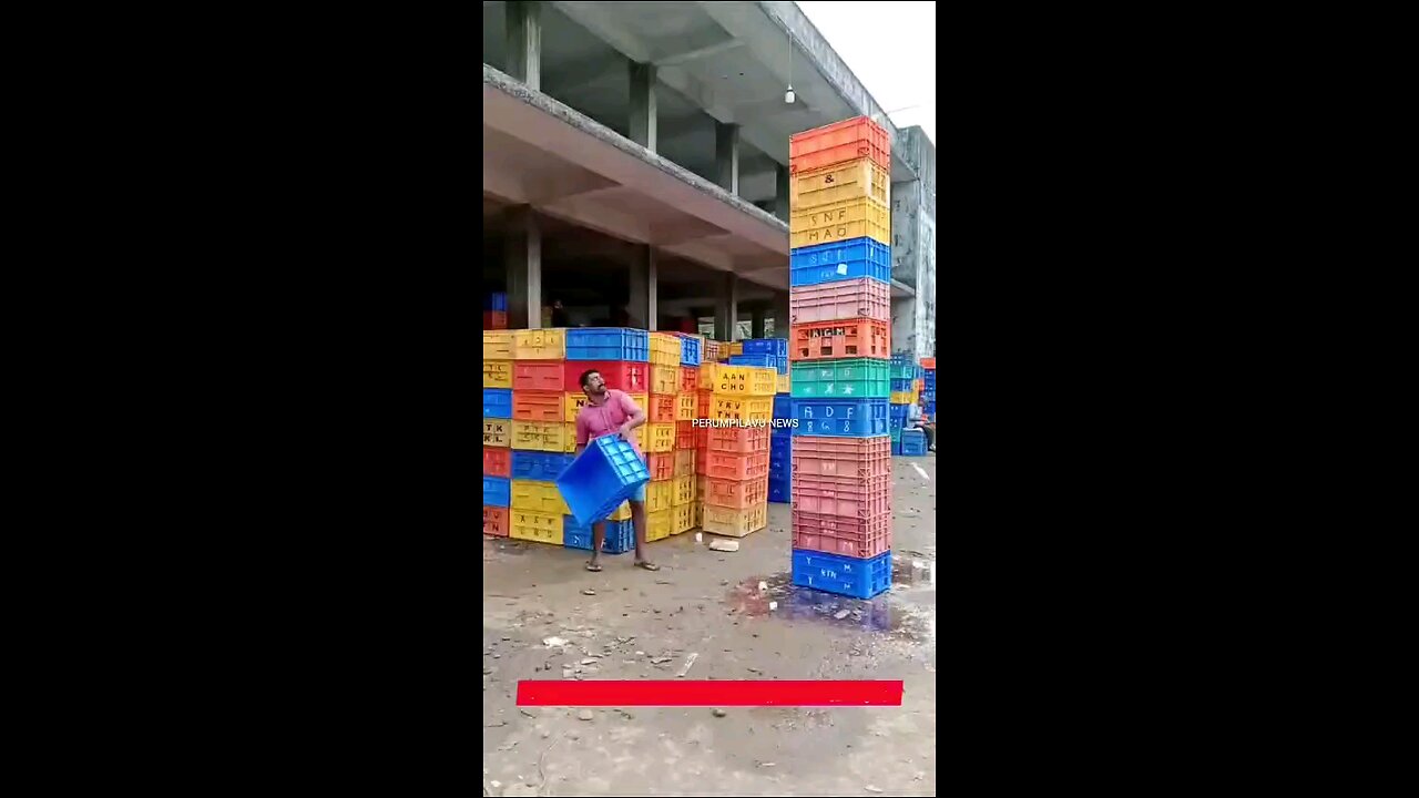 When talent meet profession